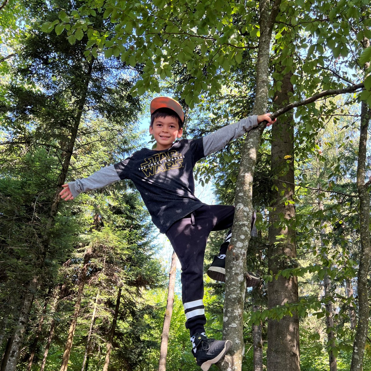 Bild I Junge klettert im Wald
