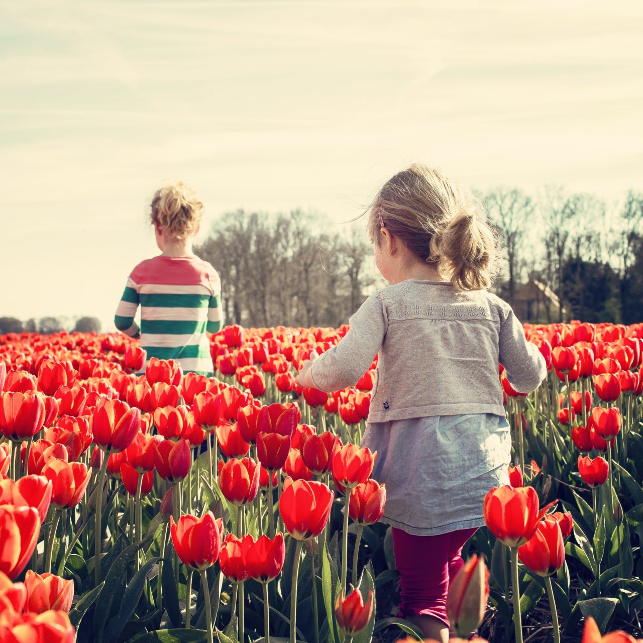 Bild I Zwei Kinder laufen durch Blumenwiese mit Mohnblumen